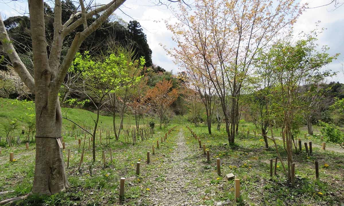 森の墓苑(長南町)の費用・口コミ・アクセス｜無料で資料請求【いいお墓】