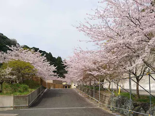 南房総ちくら霊園