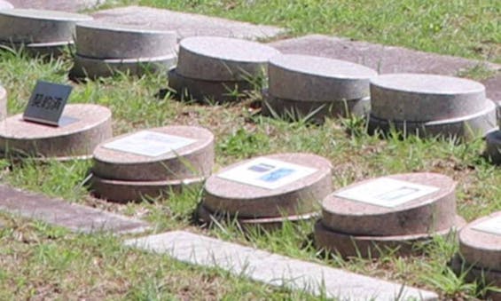 金剛宝寺 天空陵