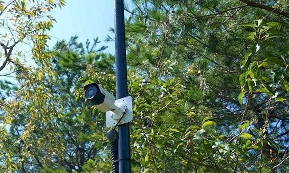 金剛宝寺 天空陵