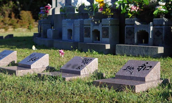金剛宝寺 天空陵