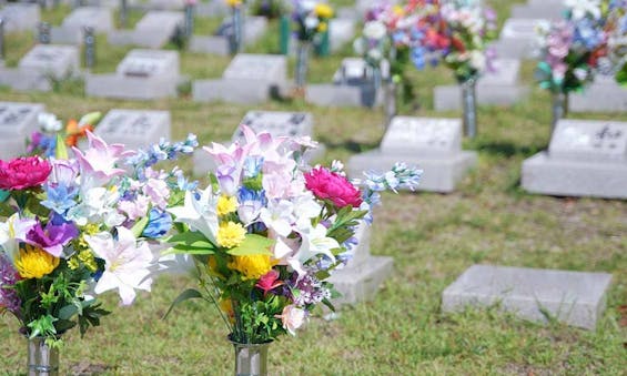 金剛宝寺 天空陵