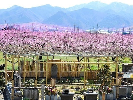 瑞蓮寺 樹木葬・永代供養墓