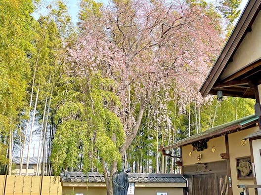 野田樹木葬墓地