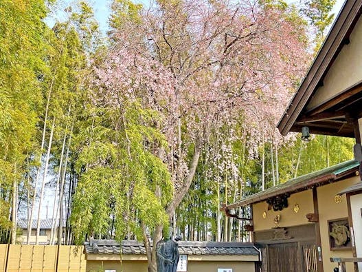 野田樹木葬墓地