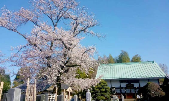 野田樹木葬墓地