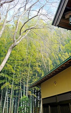 野田樹木葬墓地