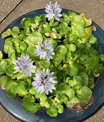 野田樹木葬墓地