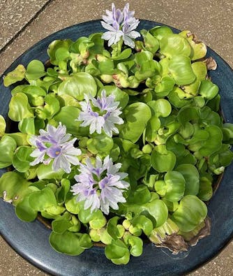 野田樹木葬墓地