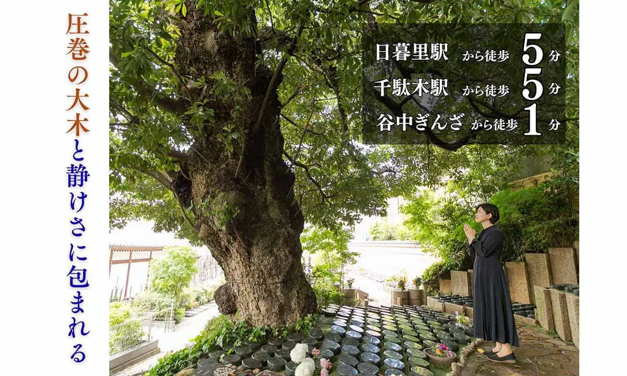 谷中樹陵 久遠・長明寺樹木葬(日暮里駅)の永代供養墓