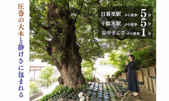 谷中樹陵 久遠・長明寺樹木葬