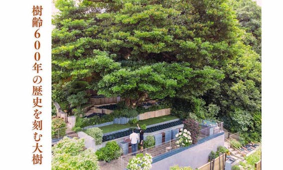 谷中樹陵 久遠・長明寺樹木葬