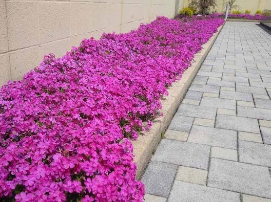 メモリーガーデン彩の杜霊園 永代供養墓・自然葬墓