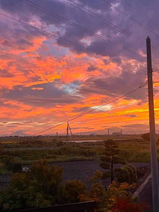 メモリーガーデン彩の杜霊園 永代供養墓・自然葬墓