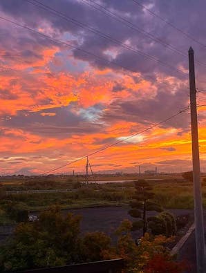 メモリーガーデン彩の杜霊園 永代供養墓・自然葬墓