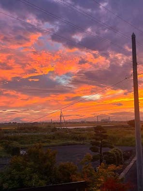メモリーガーデン彩の杜霊園 永代供養墓・自然葬墓