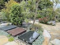 證誠院 塔頭 常信寺 松⼾庭苑 変化に富んだ植栽と墓石が目を楽しませます