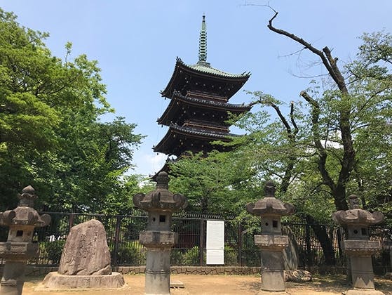 寛永寺 徳川浄苑