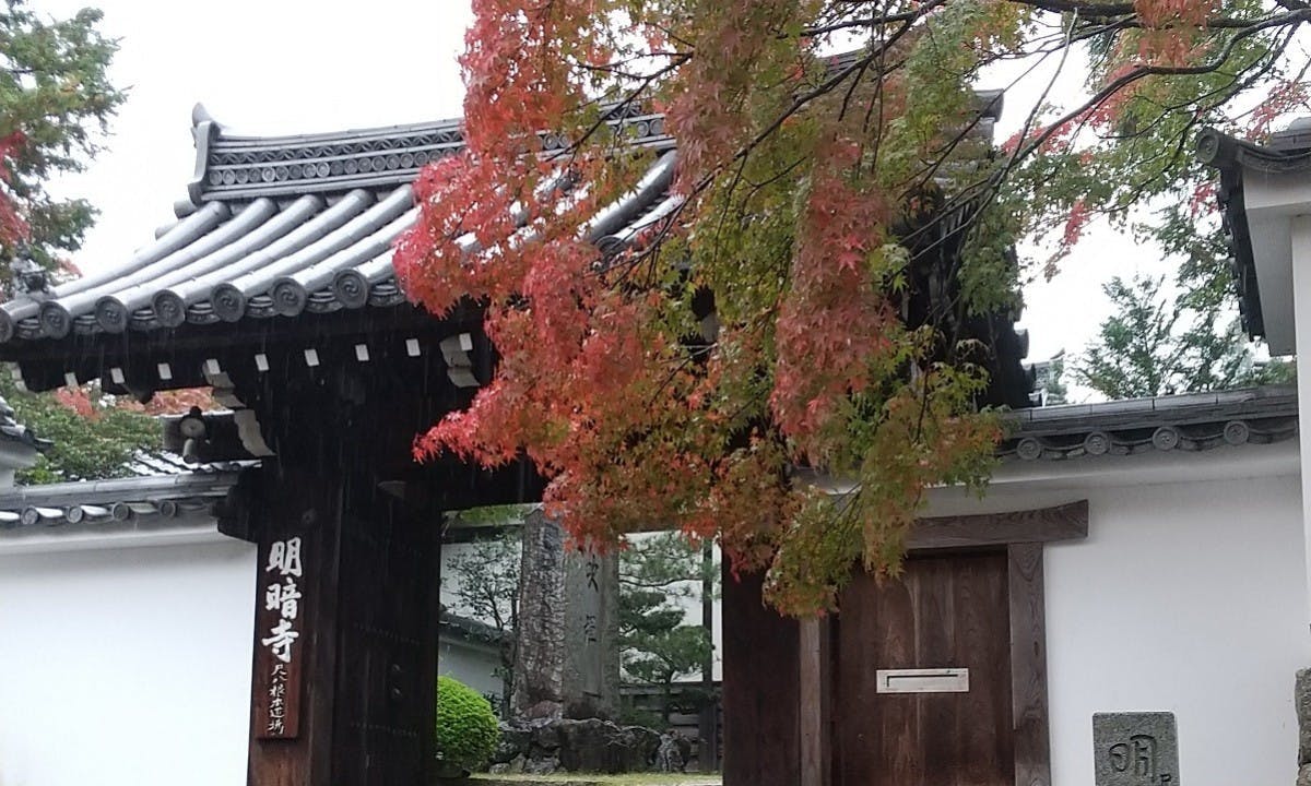 臨済宗大本山 東福寺善慧院(京都府京都市東山区) - 永代供養墓の