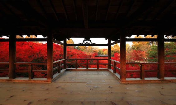 臨済宗大本山 東福寺善慧院