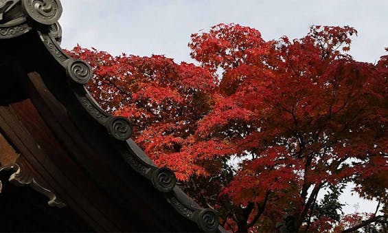 臨済宗大本山 東福寺善慧院