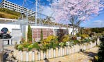 メモリアルパーク With 春日野 樹木葬「桜」