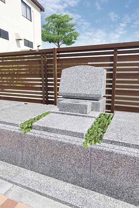 エバーグリーン金町