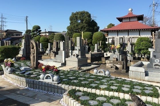川口新郷樹木葬墓地
