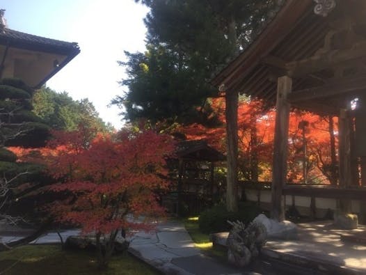 苗秀寺墓苑 永代供養墓