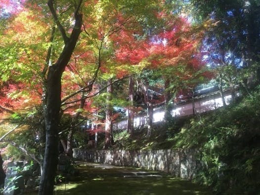 苗秀寺墓苑 永代供養墓