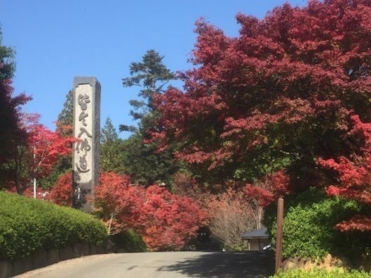 苗秀寺墓苑 永代供養墓