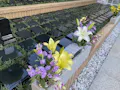 海泉寺 納骨堂 樹木葬 永代供養墓 樹木葬