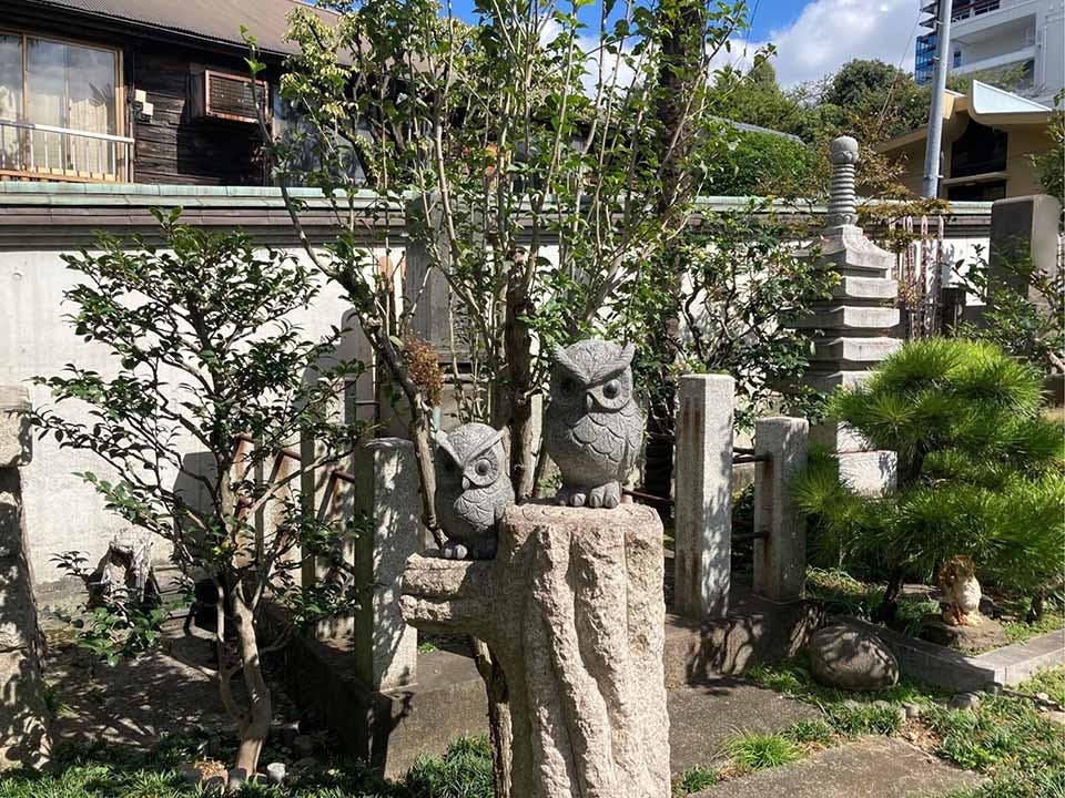 慈眼寺 のうこつぼ