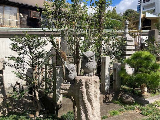 慈眼寺 のうこつぼ