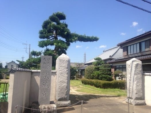 法蔵寺 のうこつぼ