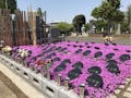 【谷中ガーデン墓地】花壇墓園