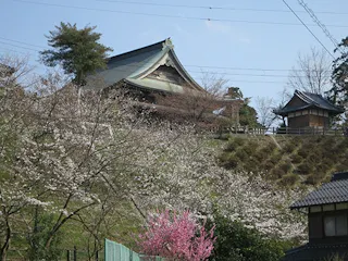 天寧寺墓苑