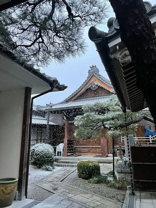 八幡樹木葬墓地 雪景色の境内
