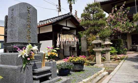 樹⽊葬 本昌寺 上京庭苑みのり