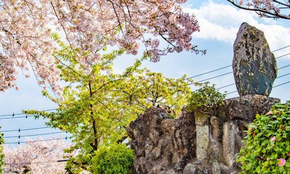 永代供養墓・樹木葬 メモリアルすぎと・用中寺