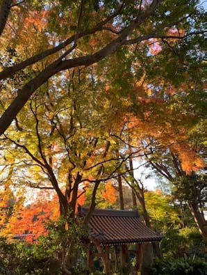 能満寺墓苑 樹木葬「沙羅双樹の丘」