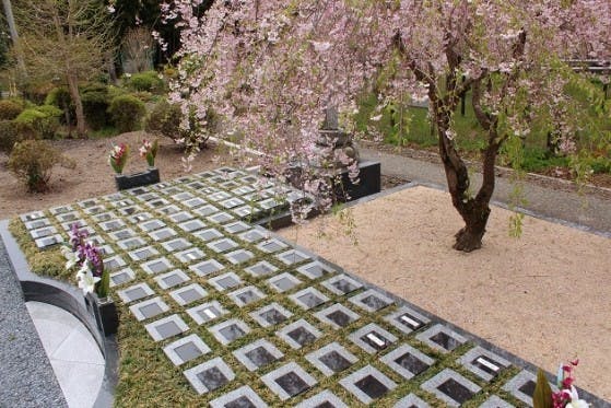 藤の庭園 日光市 樹木葬墓地