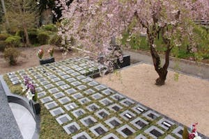 藤の庭園 日光市 樹木葬墓地の画像