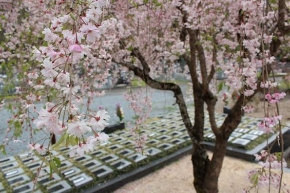 藤の庭園 日光市 樹木葬墓地