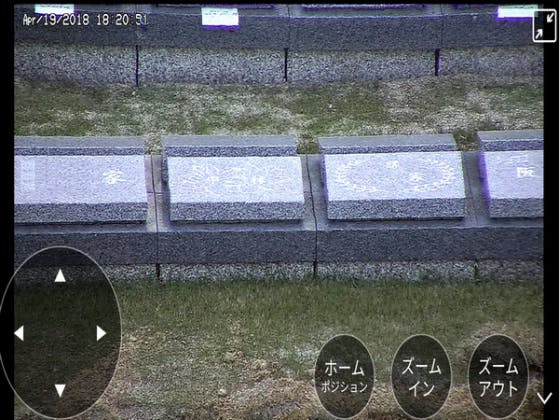 正林寺緑地霊園 樹木葬の画像