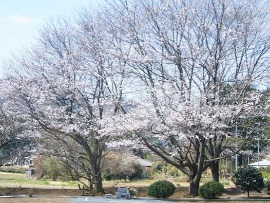 正光寺 日向霊園