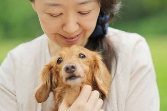 市原市樹木葬霊園