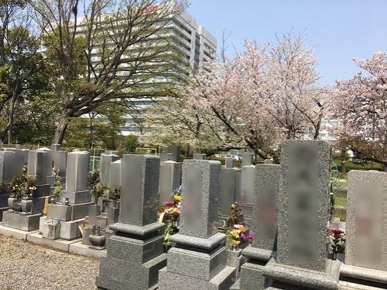 常慶寺霊園 一般墓・樹木葬