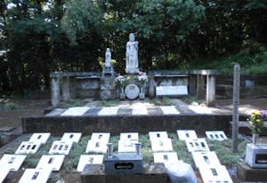 自然葬墓苑「絆」（合祀にならない樹木葬・3名用15万円～）の画像