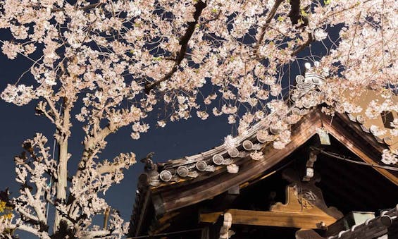 興徳寺墓苑 一般墓・永代供養墓・樹木葬